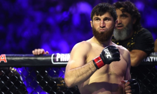 Магомед Анкалаев объявил о контракте на следующий бой в UFC