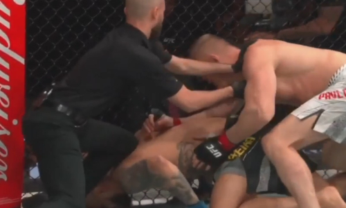 Павлович нокаутировал бразильца за 40 секунд на турнире UFC. Видео