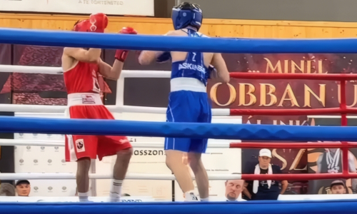Казахстан завоевал 15 медалей на турнире World Boxing с участием Узбекистана