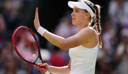 WTA отметила историческое достижение Елены Рыбакиной