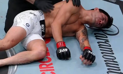 Кристиан Родригес эффектно задушил филиппинца на турнире UFC. Видео