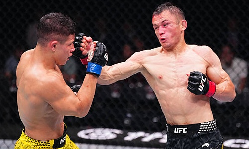 Опубликованы судейские записки боя Алмахан — Мацумото в UFC
