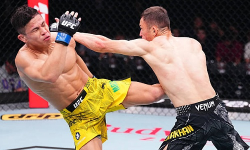 UFC представил статистику боя Алмахан — Мацумото