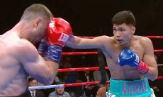 Четырьмя нокдаунами и нокаутом обернулся бой Армата Арманулы за титул WBA