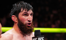 В России отреагировали на победу Анкалаева нокаутом над Гуськовым в UFC