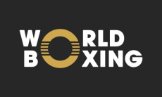 Генсек Федерации бокса России положительно оценил решение World Boxing
