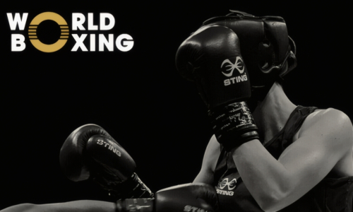 Пять боксеров Казахстана сохранили лидерство в новом рейтинге World Boxing