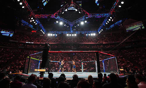 UFC уволил Перейру после поражения Магомедову