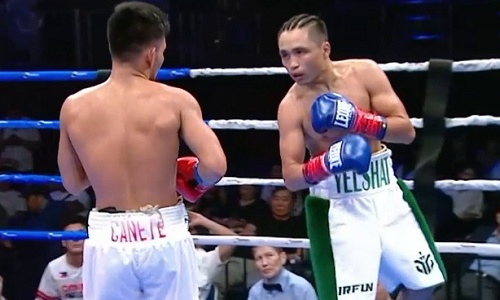 «Казахский воин» выиграл бой за титул WBA