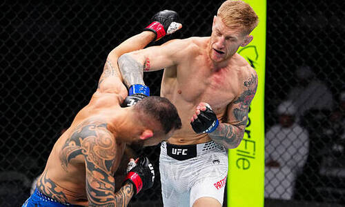 Британец избил ветерана UFC и добил его одним ударом. Видео