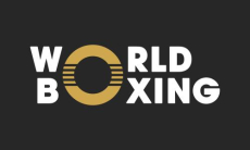 В сборной России озвучили цель на Олимпиаду-2028 после допуска World Boxing
