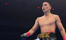 WBC принял решение по казахстанскому нокаутеру после 16-й победы
