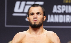 Шаблий назвал победителя боя Нурмагомедов — Ядонг в UFC