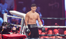В России ждут снятия санкций от WBO перед боем Дмитрия Бивола