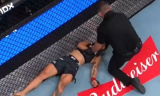 Ярким нокаутом в первом раунде завершился бой турнира UFC. Видео