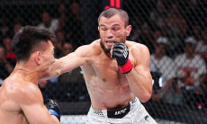 В России назвали причину поражения Умара Нурмагомедова нокаутом в UFC