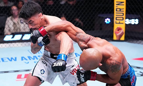 Первый нокаут состоялся на турнире UFC c участием казахстанца. Видео