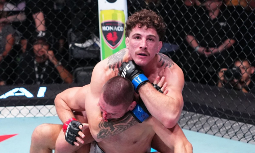 Финишем в первом раунде закончился главный бой турнира UFC. Видео