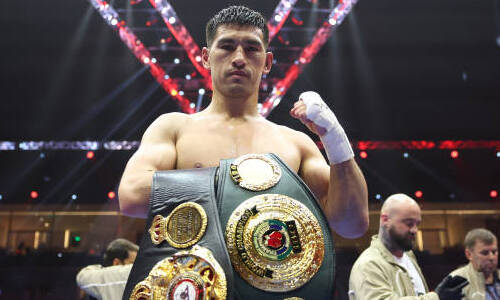 WBO приняла новое решение по Дмитрию Биволу