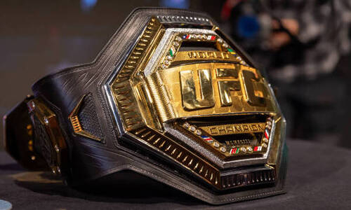Непобежденный боец UFC потребовал лишить чемпиона титула