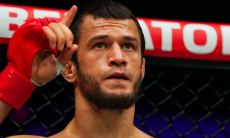 Усмана Нурмагомедова ждут в UFC