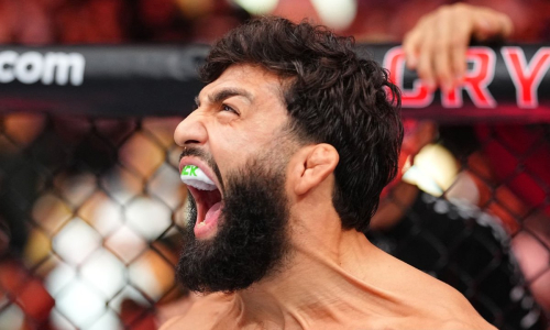 В России отреагировали на тяжелый нокаут в бою Армана Царукяна на UFC 331