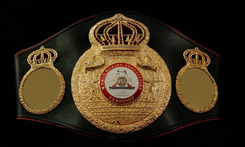 WBA обязала чемпиона мира провести бой с боксёром из Узбекистана