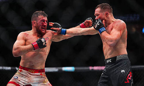 Ян раскрыл план Двалишвили перед третьим боем в UFC