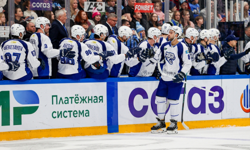 Видео шайбы матча КХЛ «Сибирь» — «Барыс» 0:1