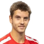 Матей Додиг