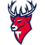 Торпедо Нижний Новгород